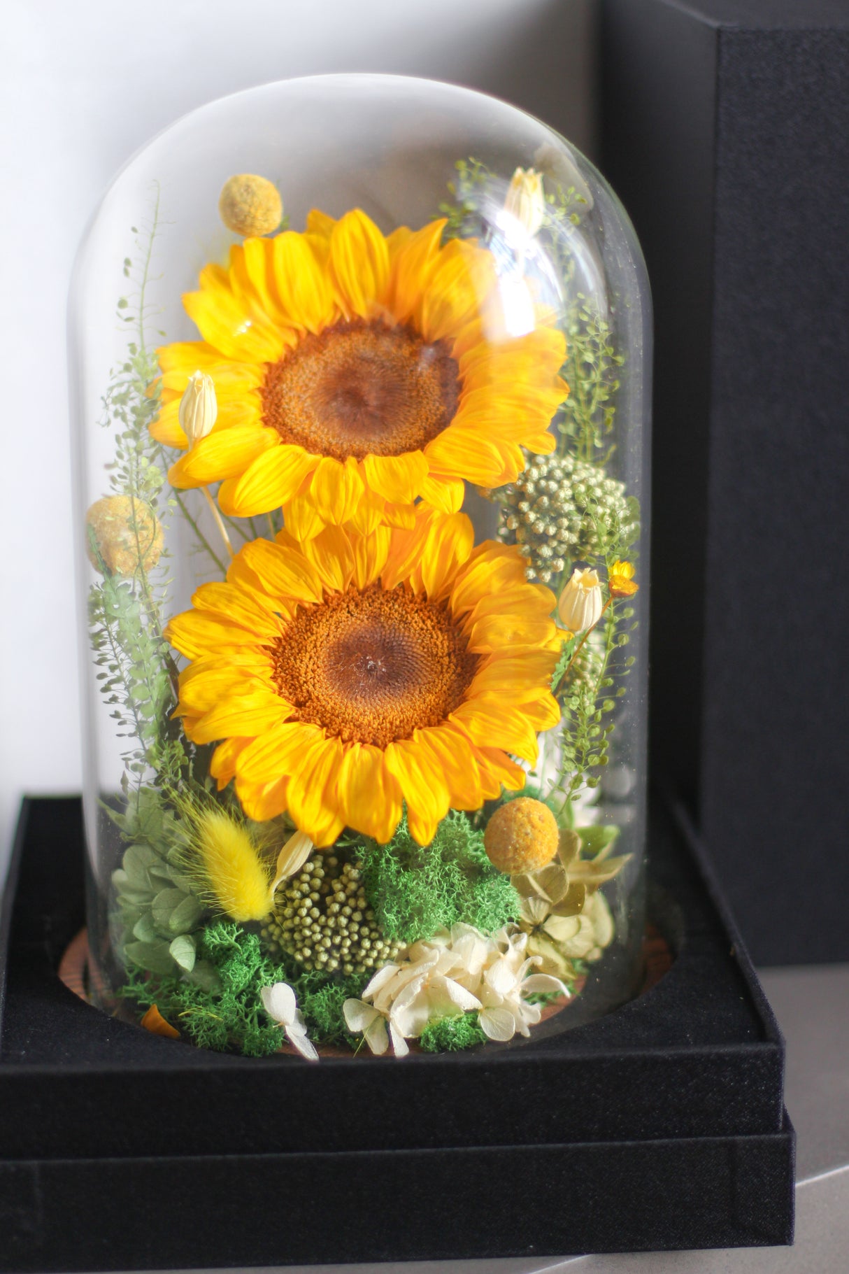 Golden Field (preserved)