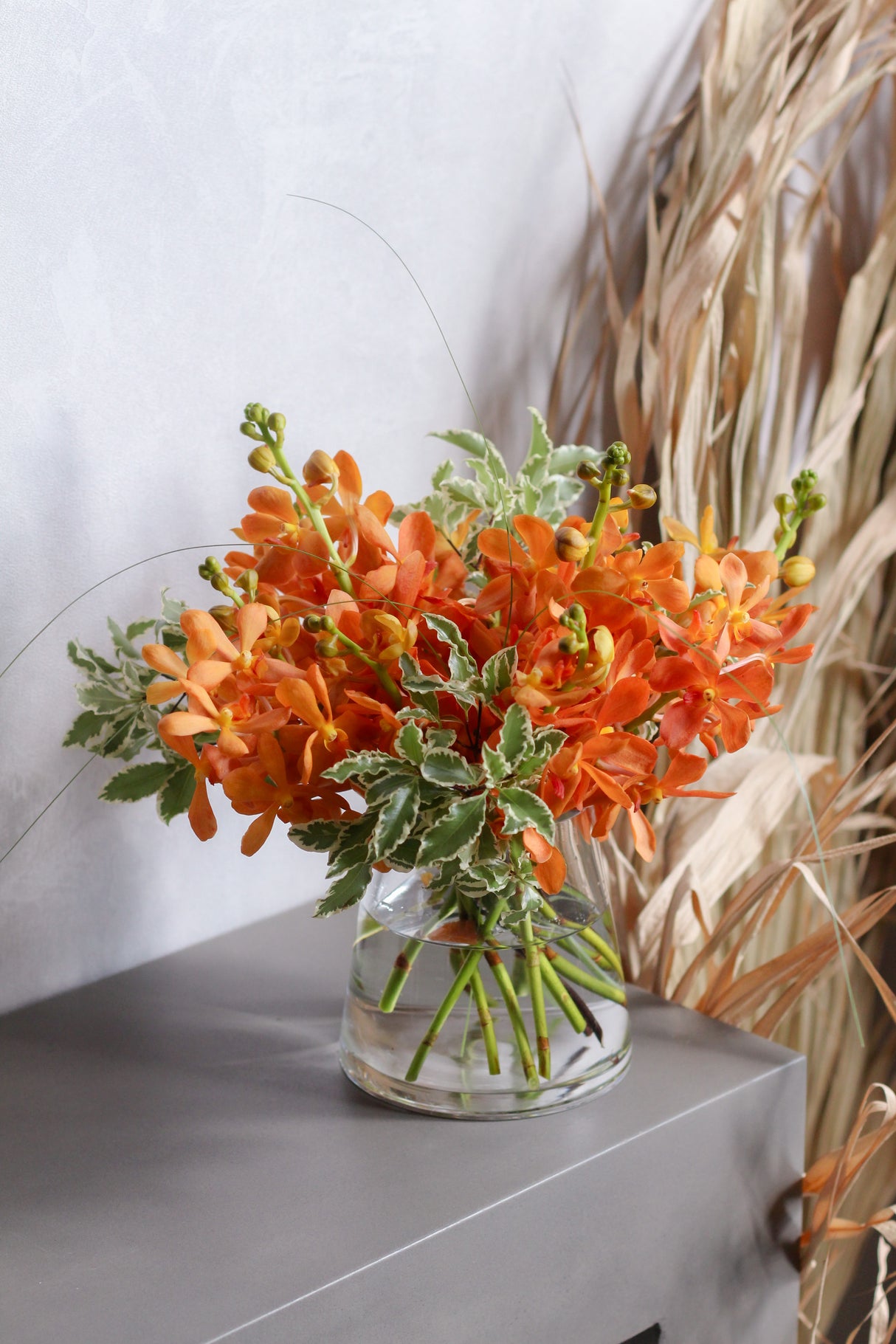 Gold Coast Orchids - Fresh Flowers Free Delivery Singapore | Dawn Q Floral Design