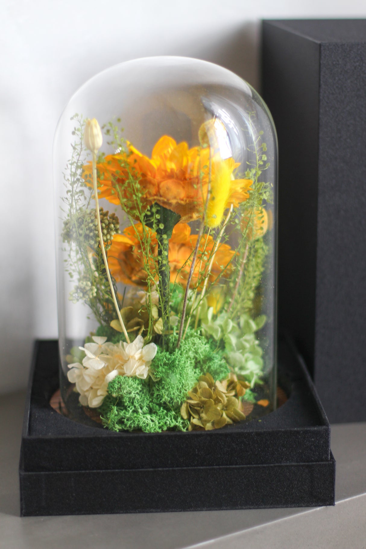 Golden Field (preserved)