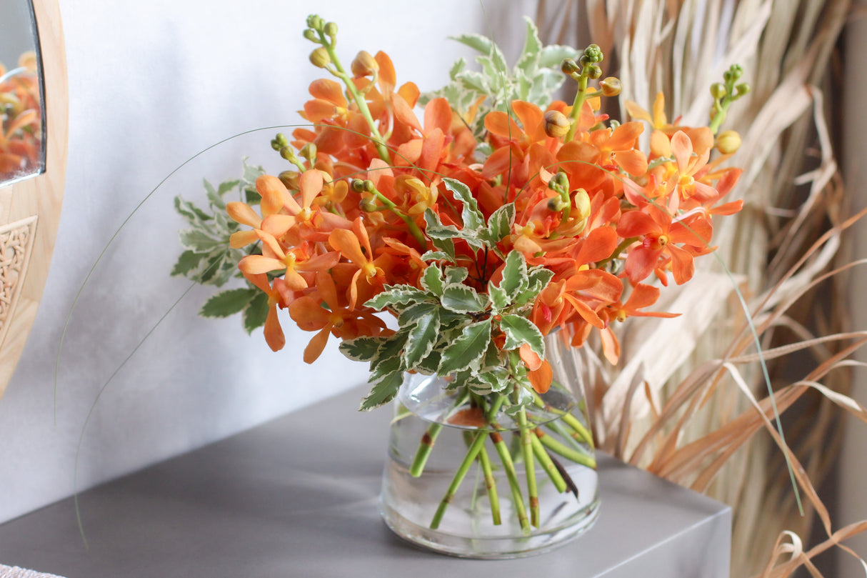 Gold Coast Orchids - Fresh Flowers Free Delivery Singapore | Dawn Q Floral Design