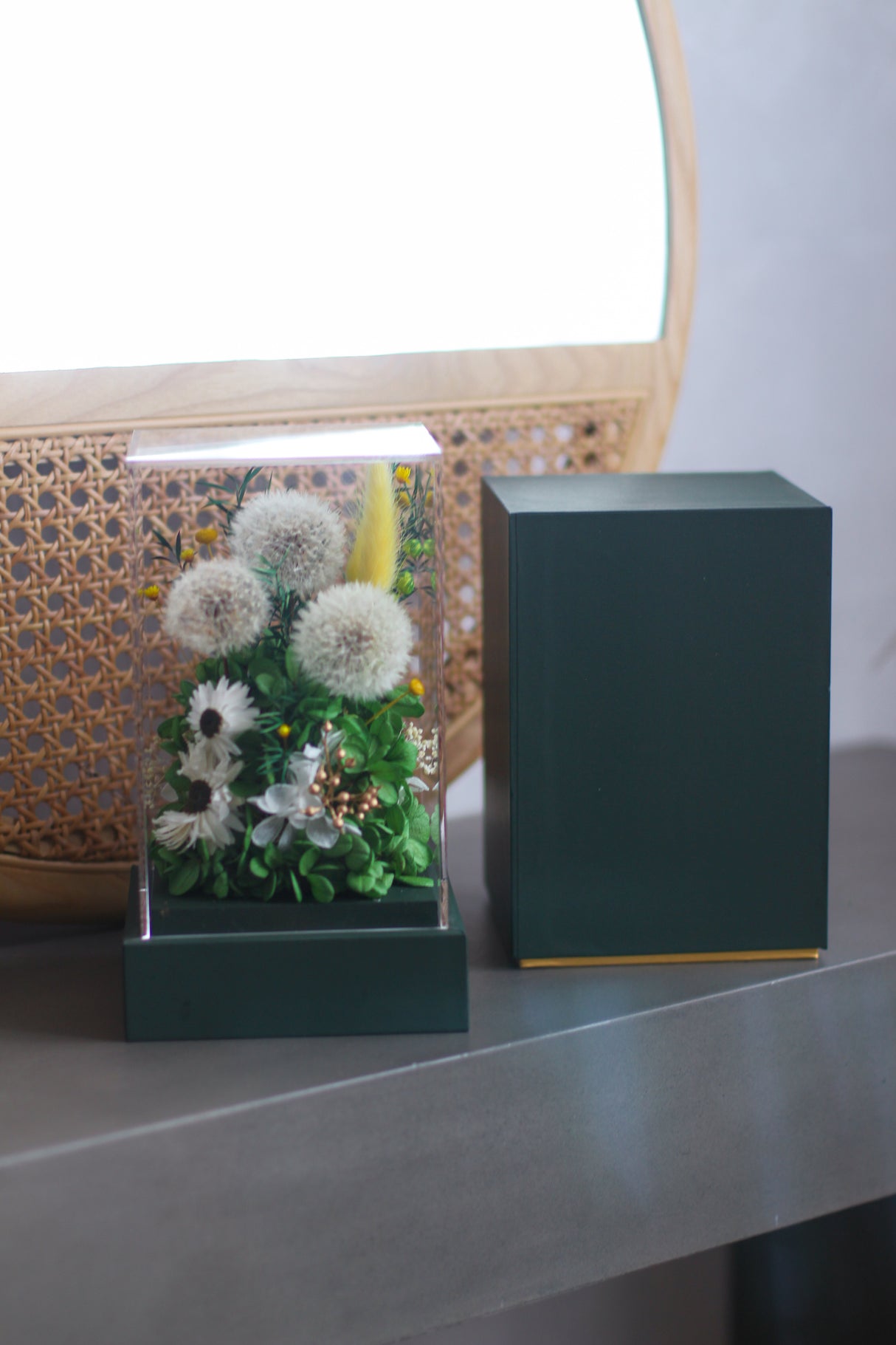 Dandelion Breeze (preserved)