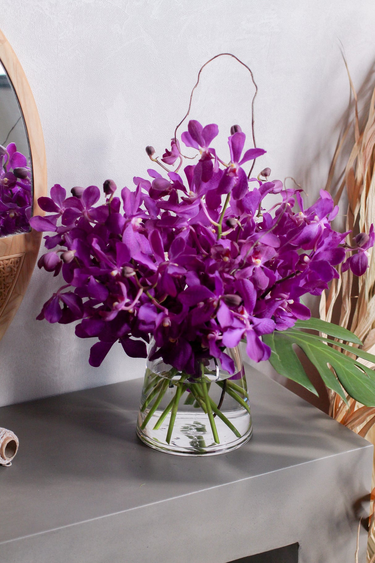 Majestic Mokara - Fresh Flowers Free Delivery Singapore | Dawn Q Floral Design