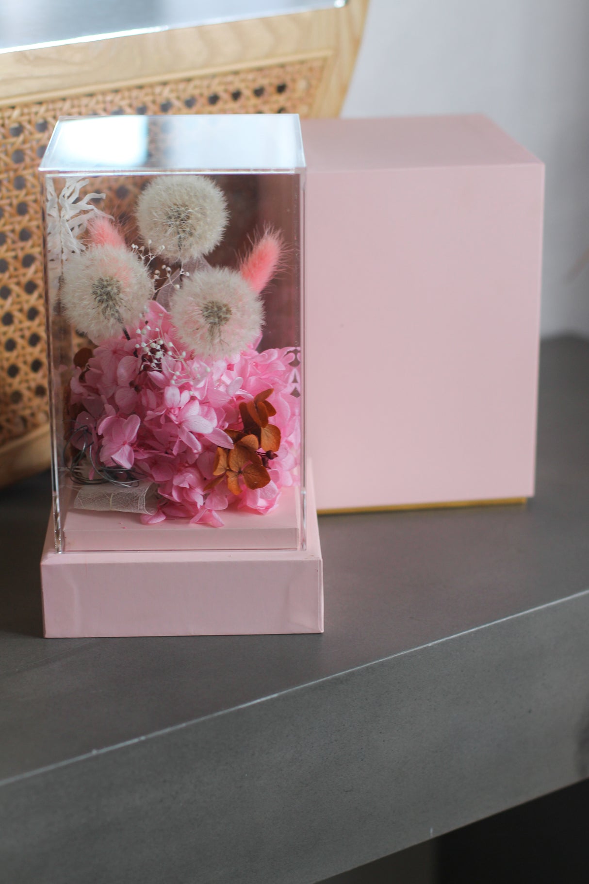 Dandelion Whisper (preserved)