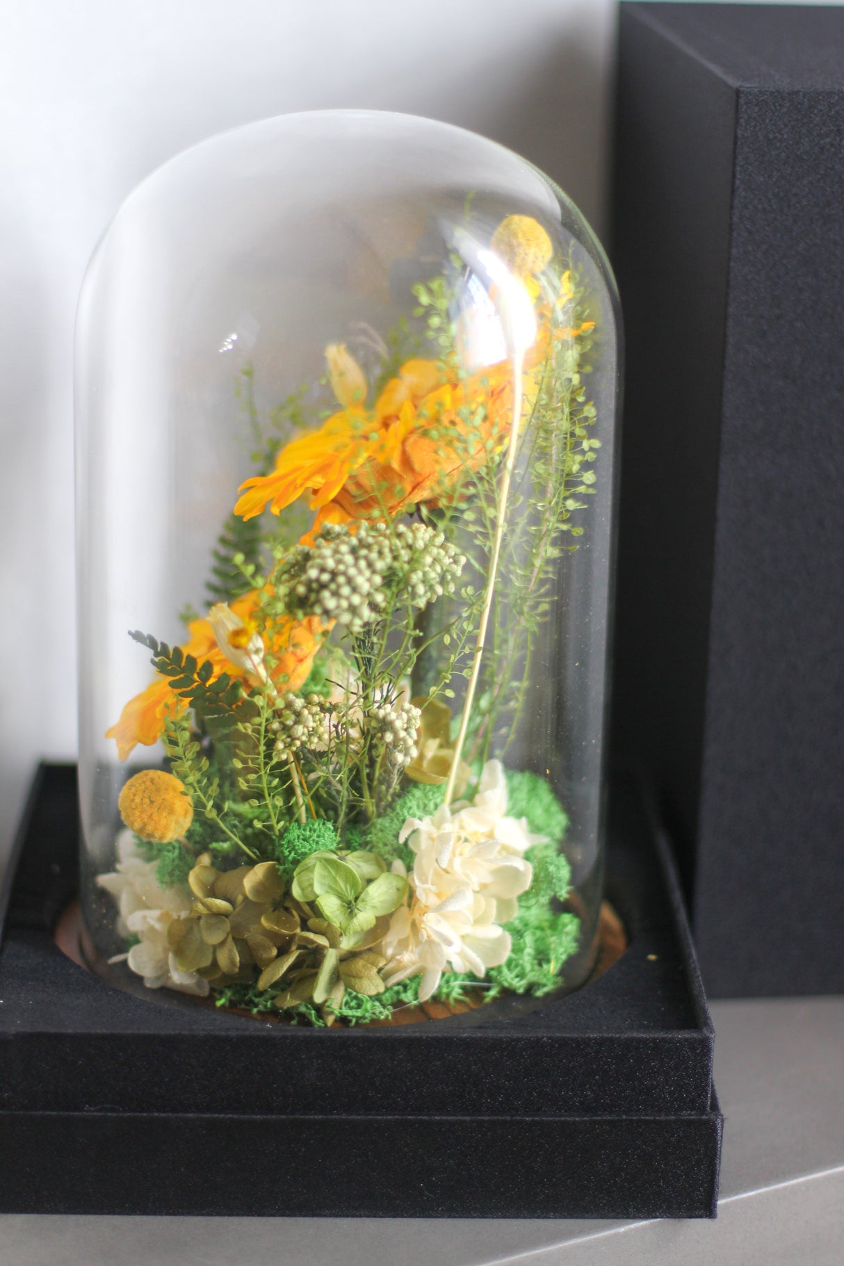 Golden Field (preserved)