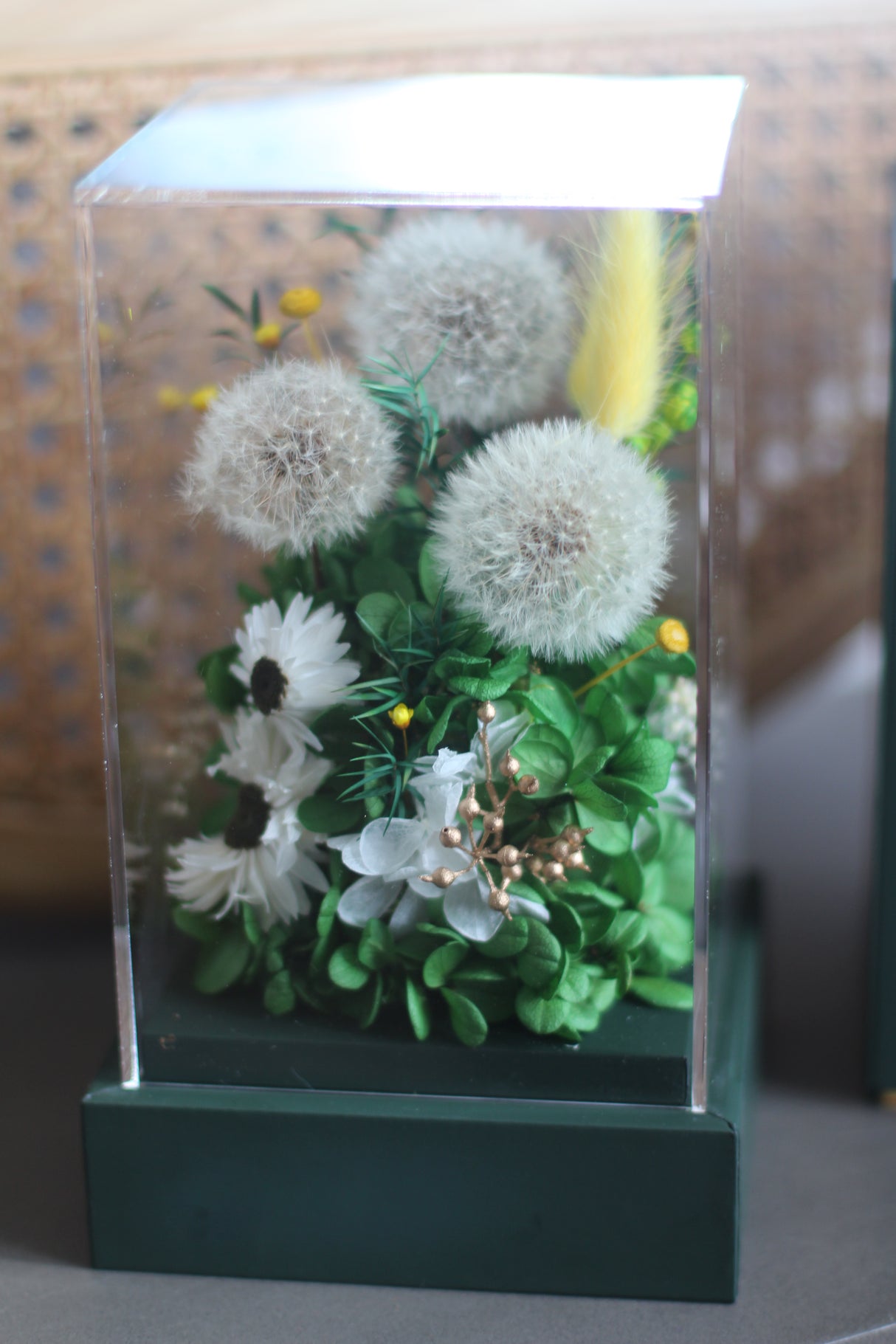 Dandelion Breeze (preserved)