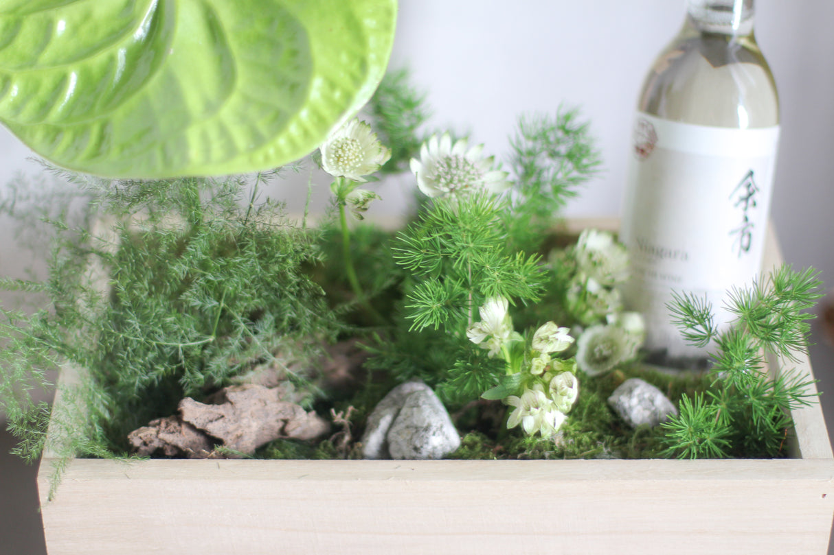 Zen and Bloom (Fresh Flowers and Wine)