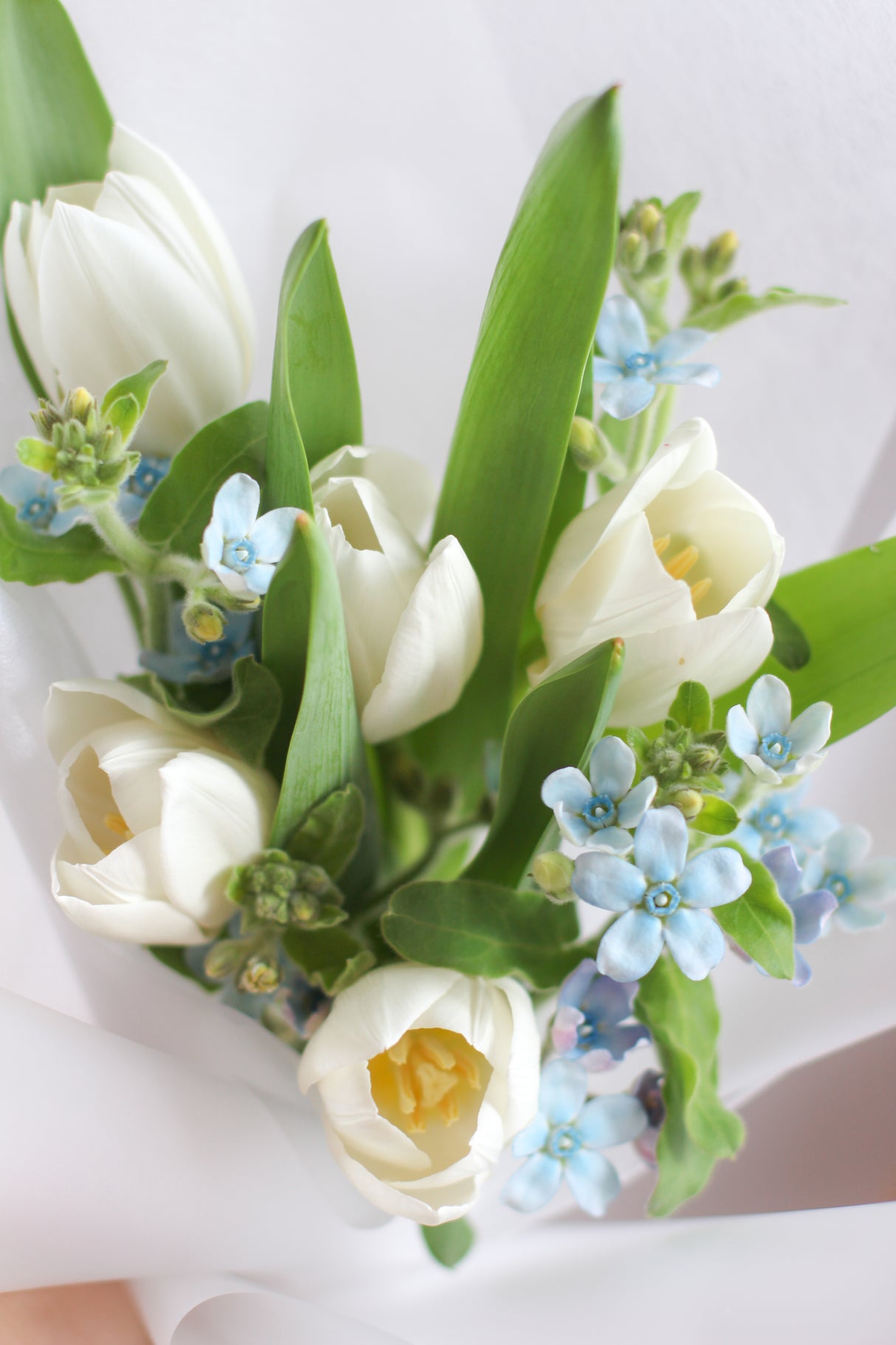 Tulip Skies (fresh flowers)