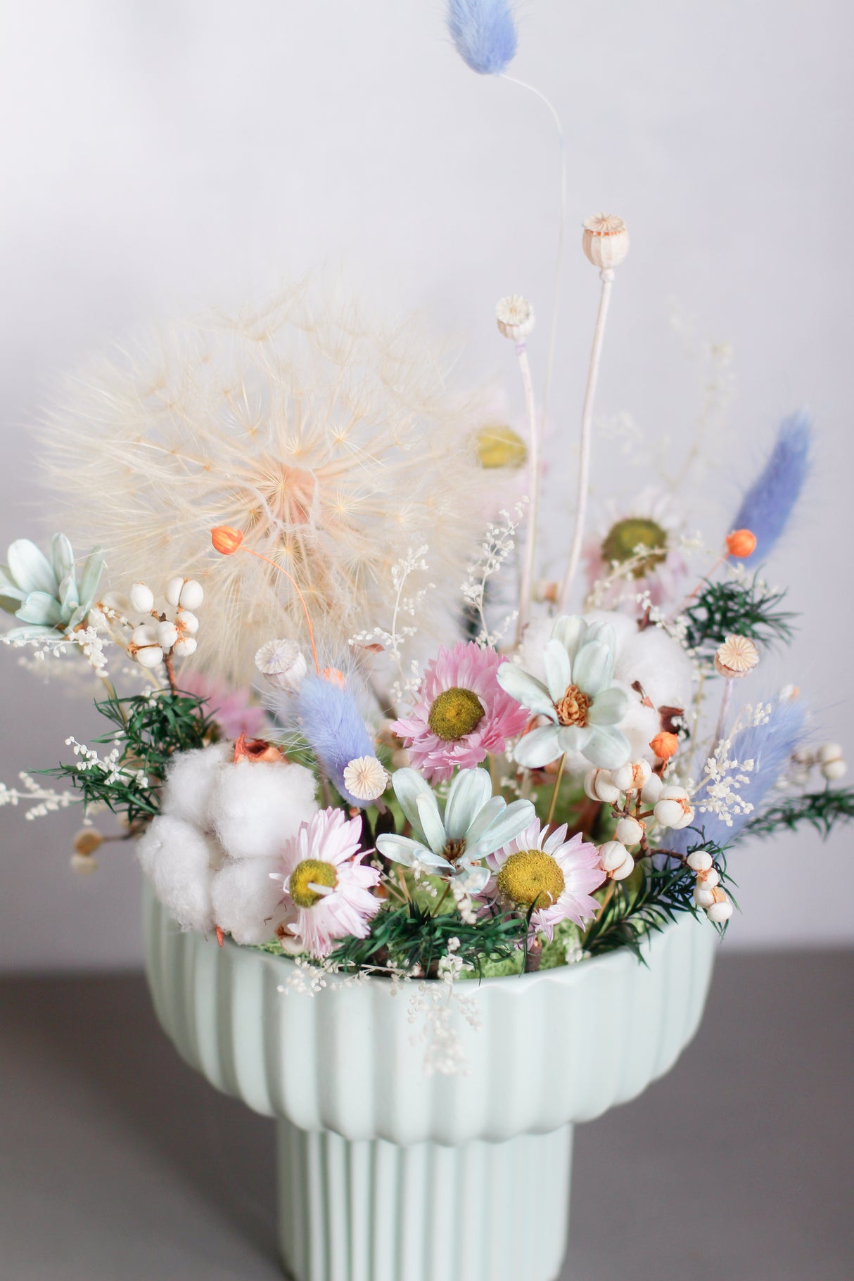 My Little Garden (preserved)