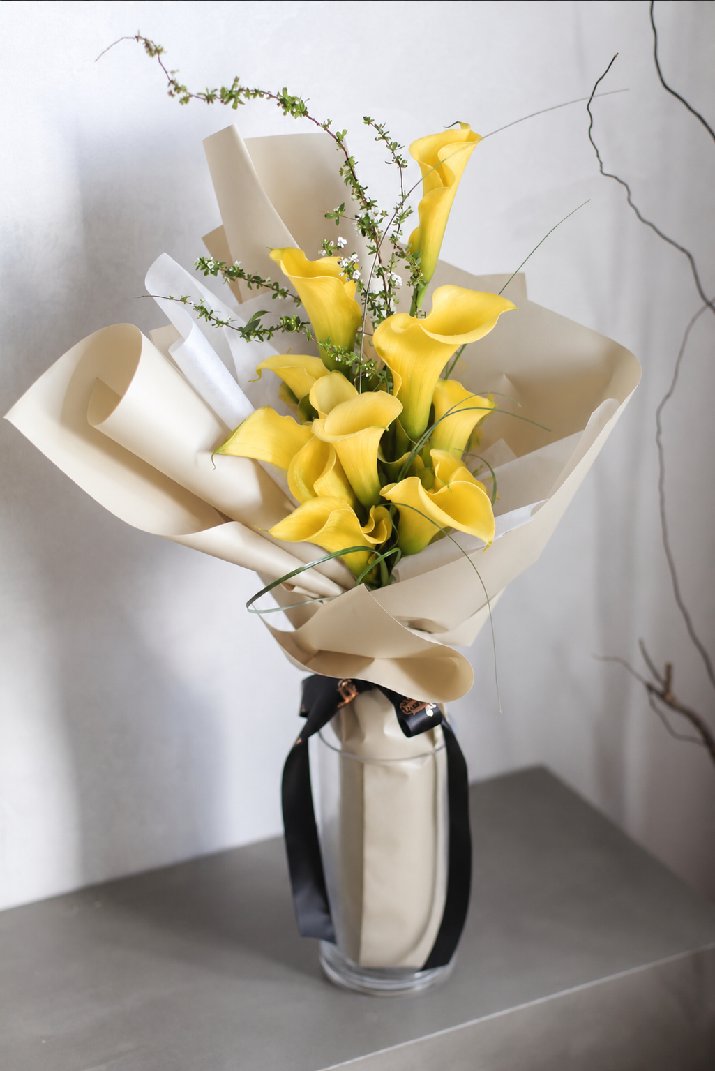 Graceful Callas (Fresh)