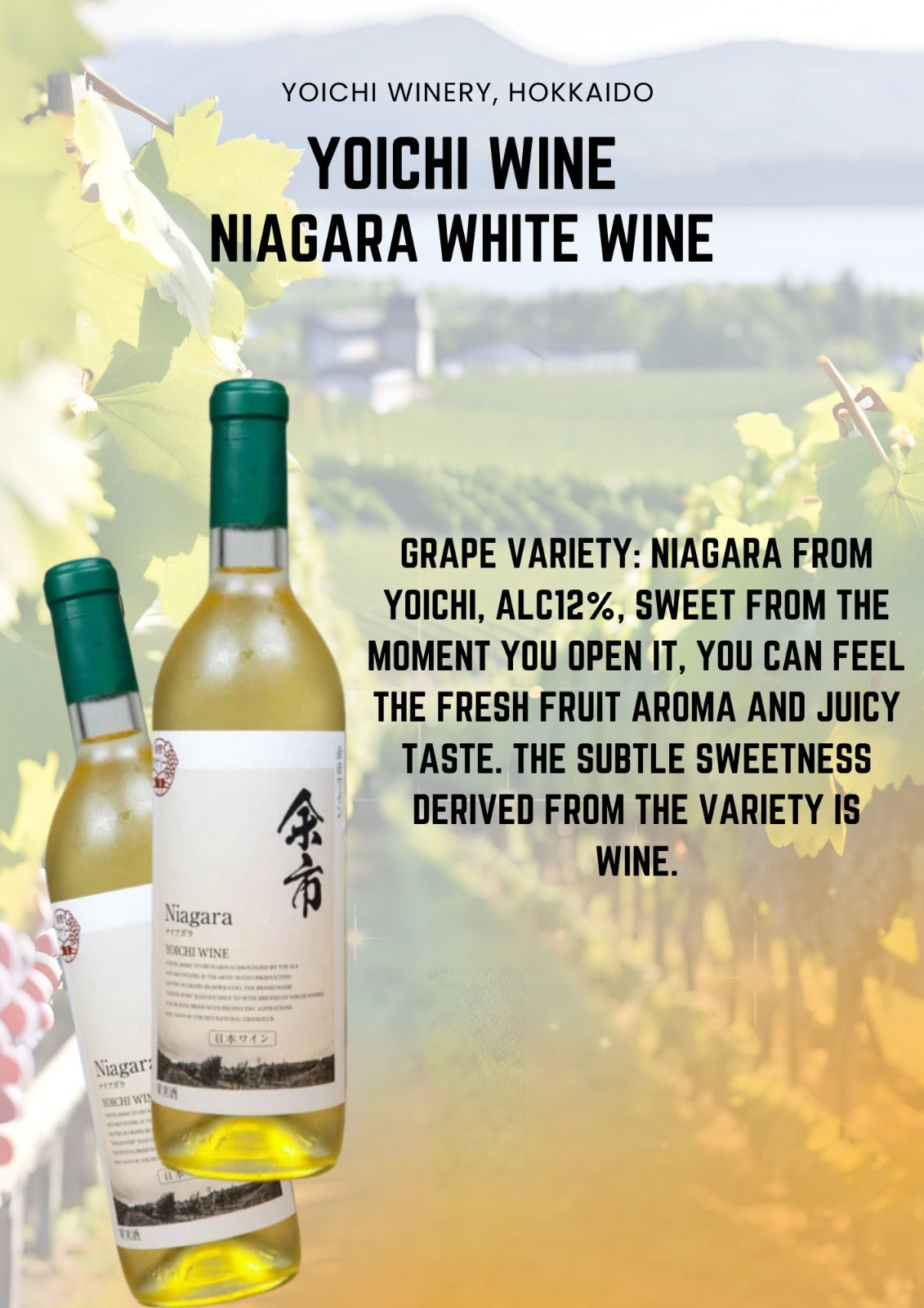 Blossom and Wine (Fresh Flowers and Wine)