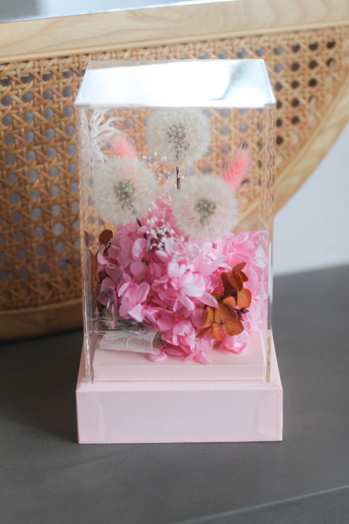 Dandelion Whisper (preserved)