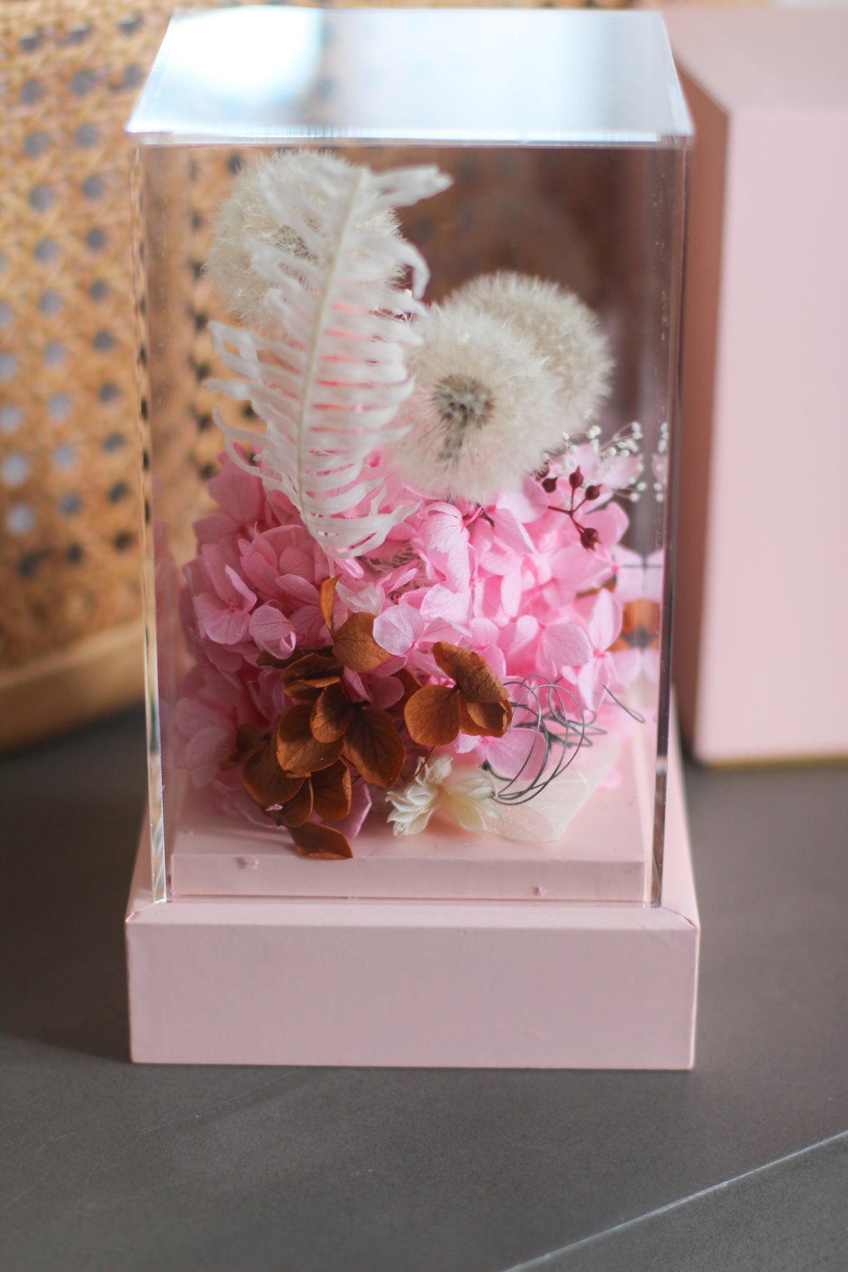 Dandelion Whisper (preserved)