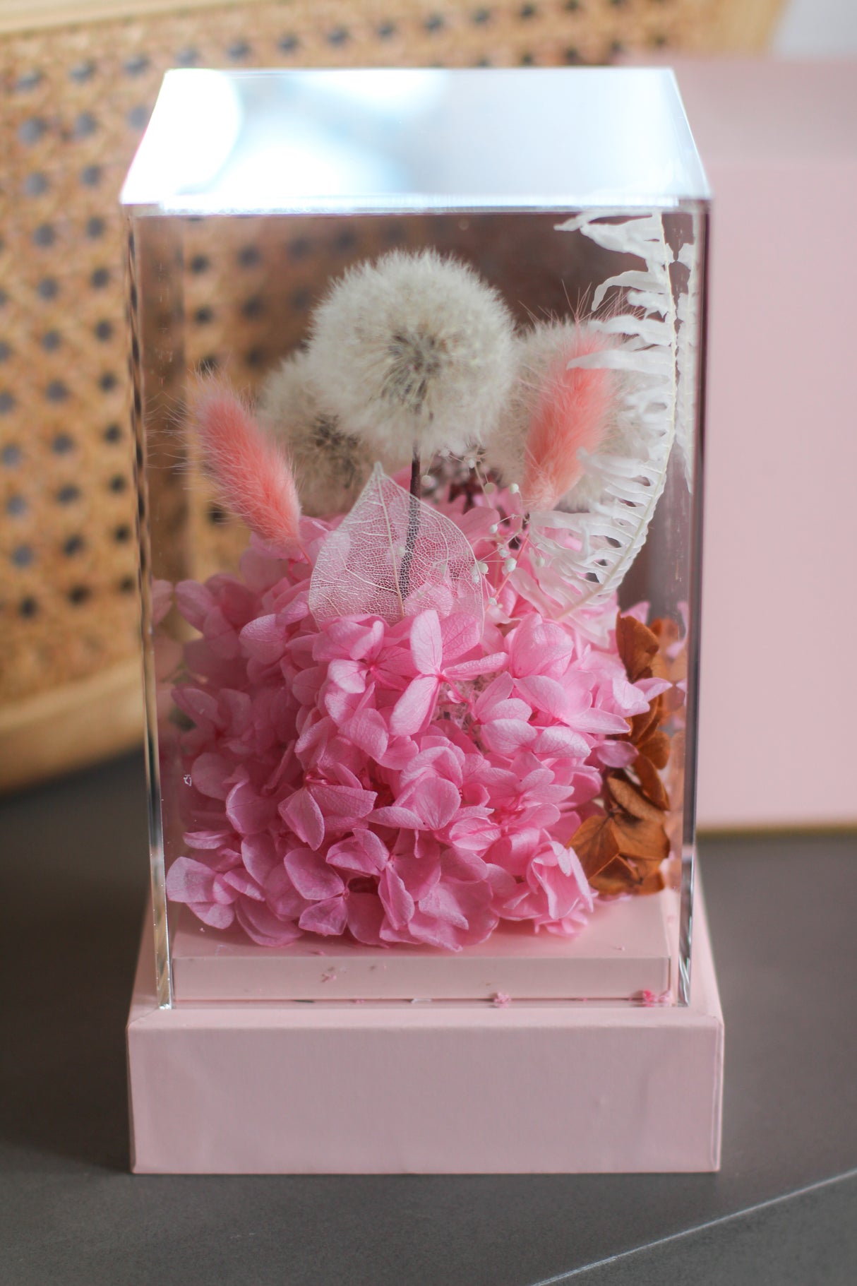 Dandelion Whisper (preserved)