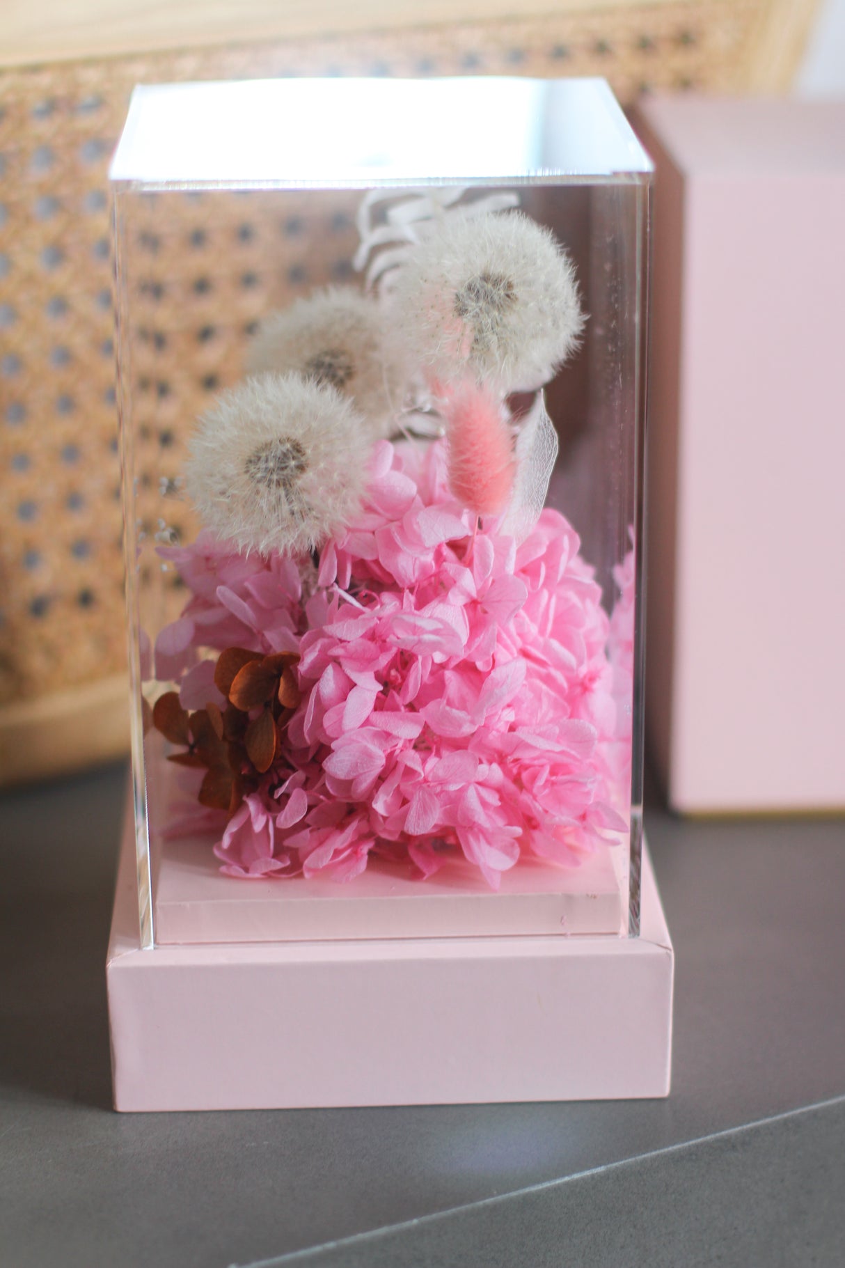 Dandelion Whisper (preserved)