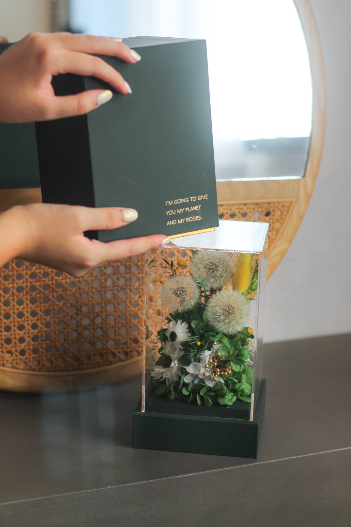 Dandelion Breeze (preserved)