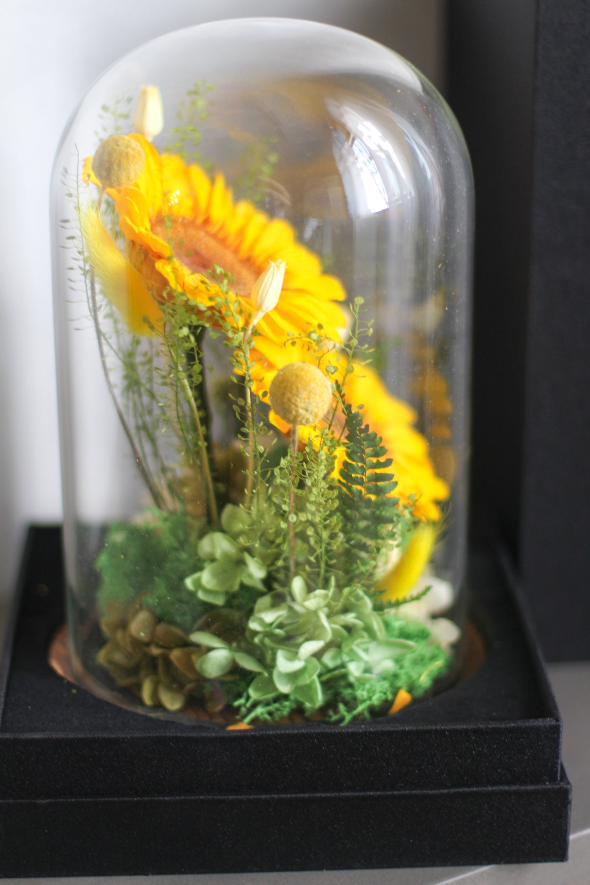 Golden Field (preserved)