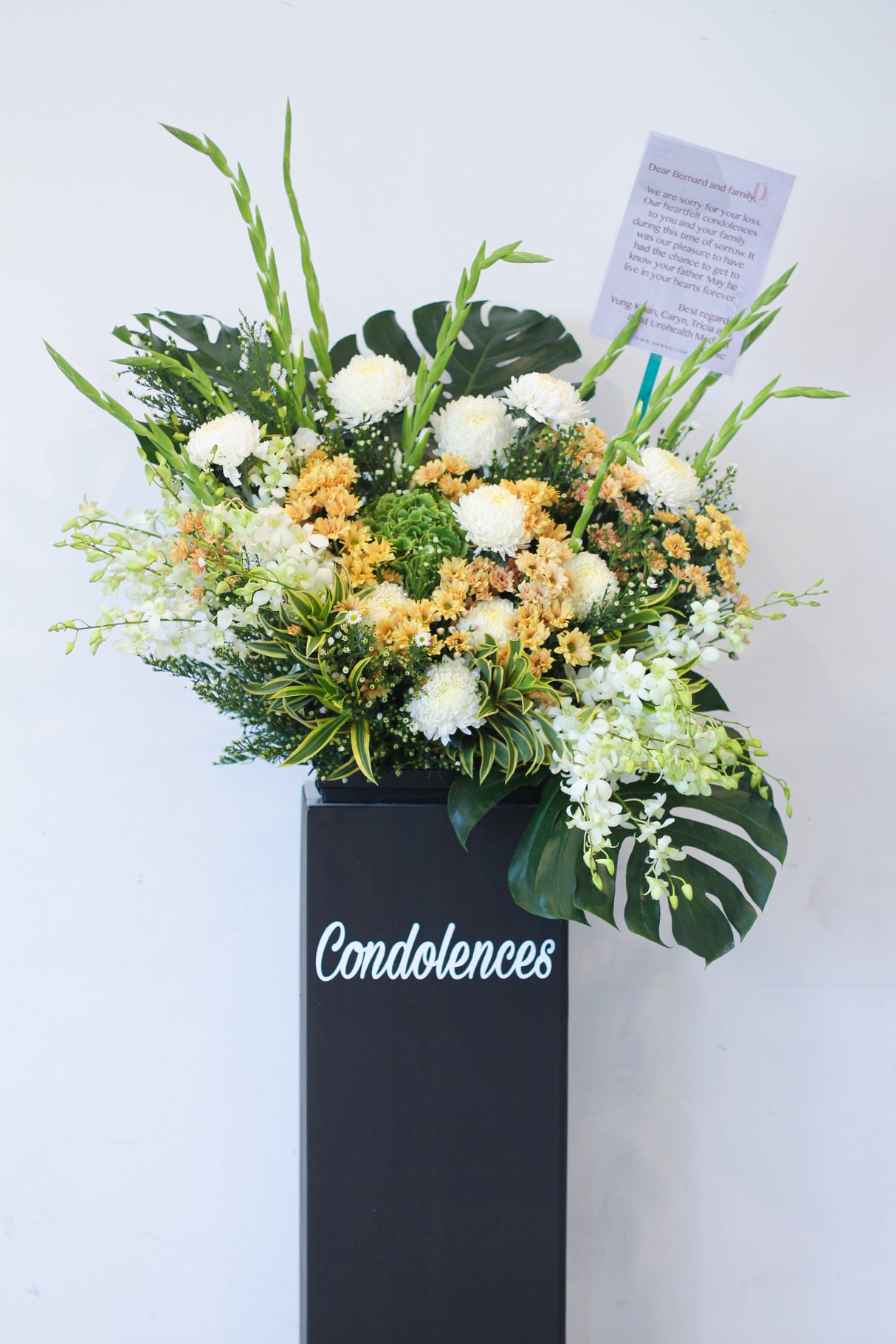 Paradise (Sympathy stand)