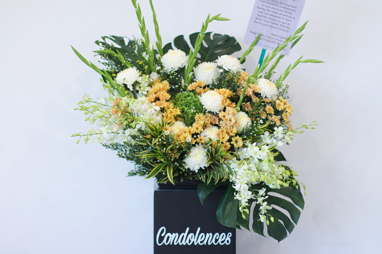 Paradise (Sympathy stand)