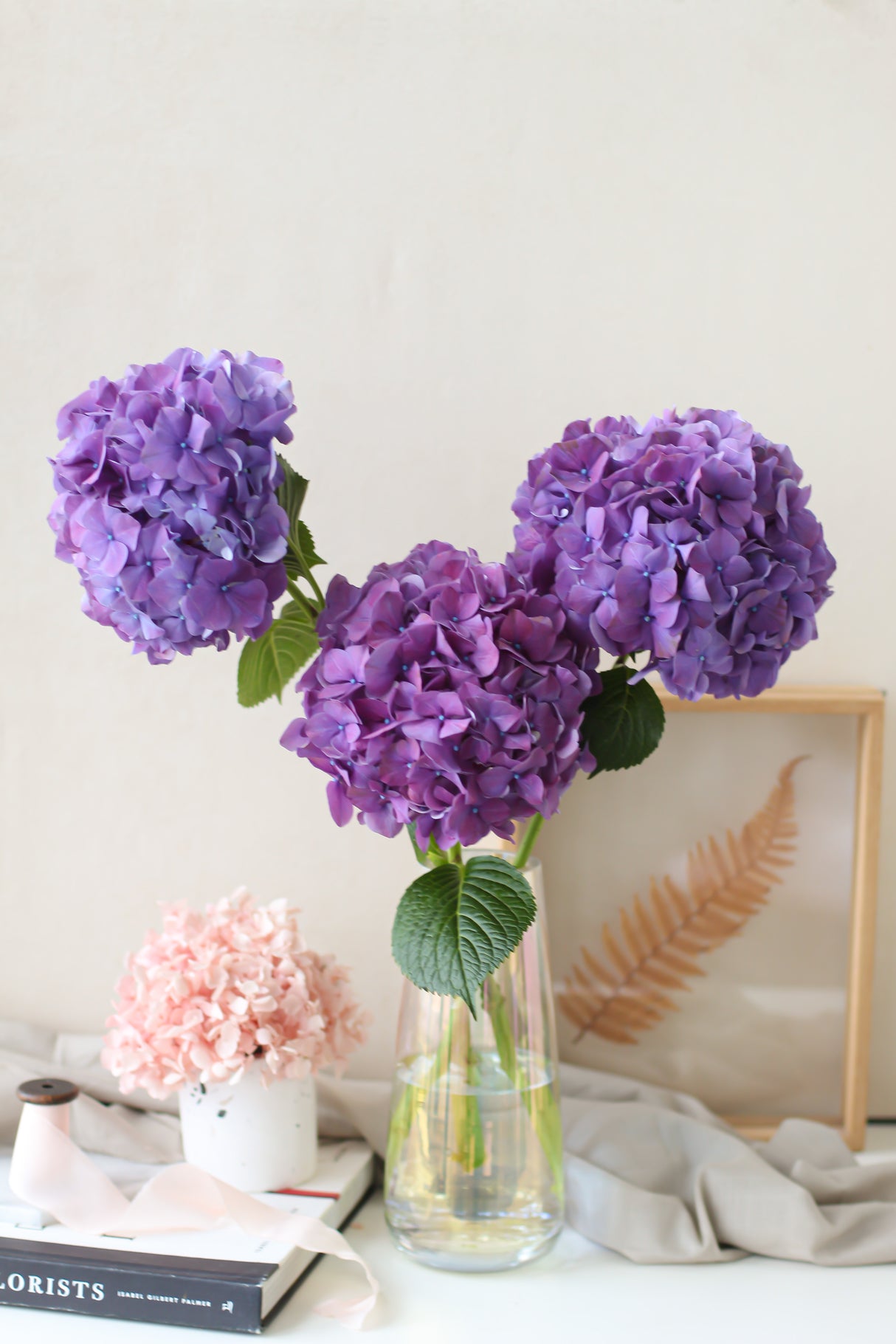 Hydrangea (subscription x 3)
