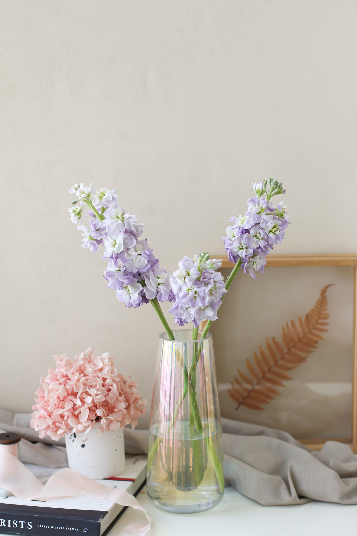 Matthiola (Subscription x 3)