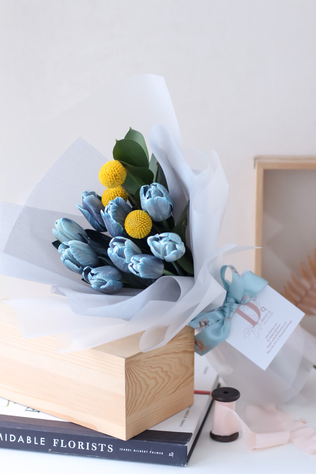 Lollipops in the Sky (Fresh)