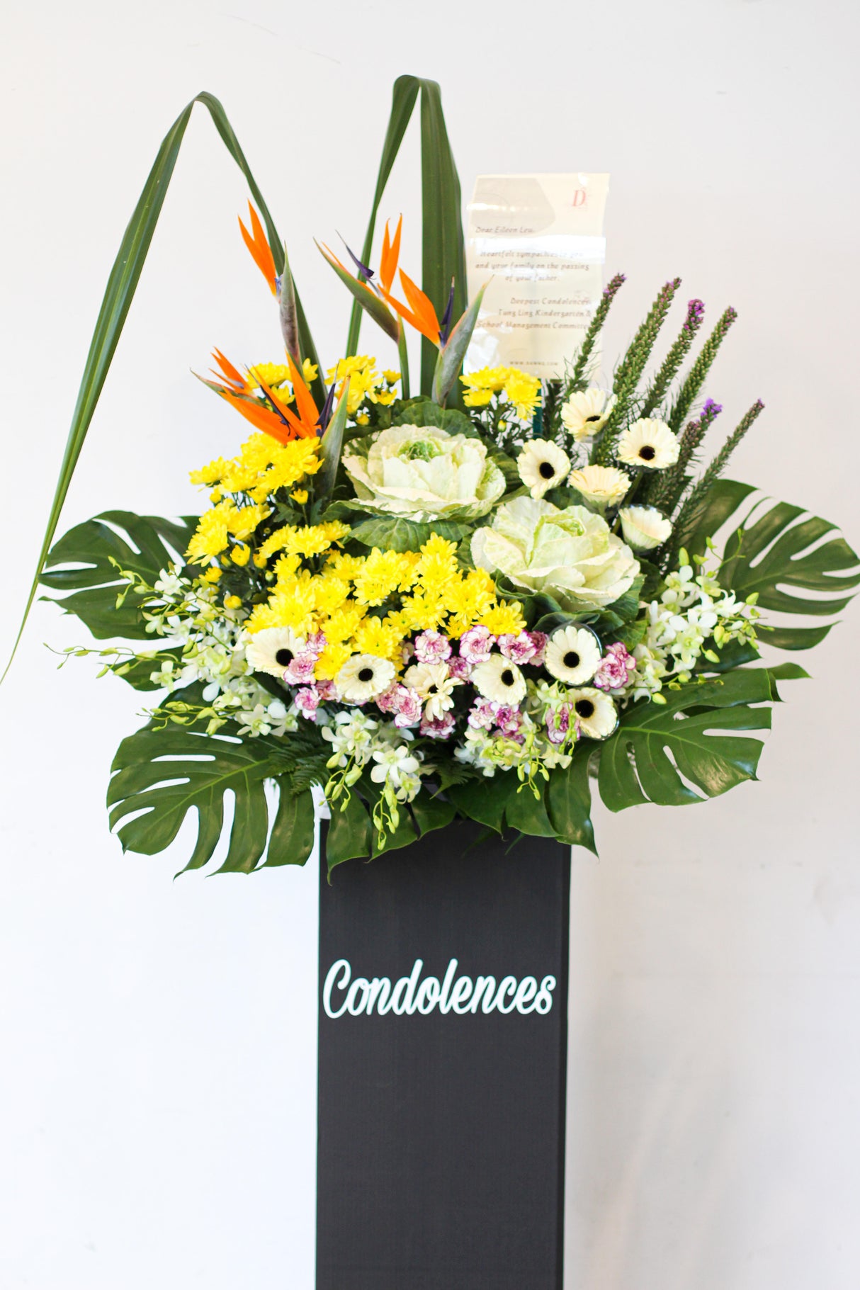 Peace, Comfort and Hope