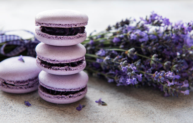 15 Edible Flowers and Their Unique Flavours