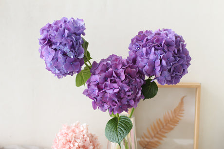 J'adore, Maison or Love, Home