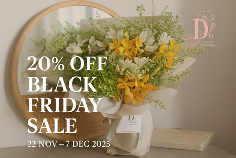 Black Friday Collection (20% off)