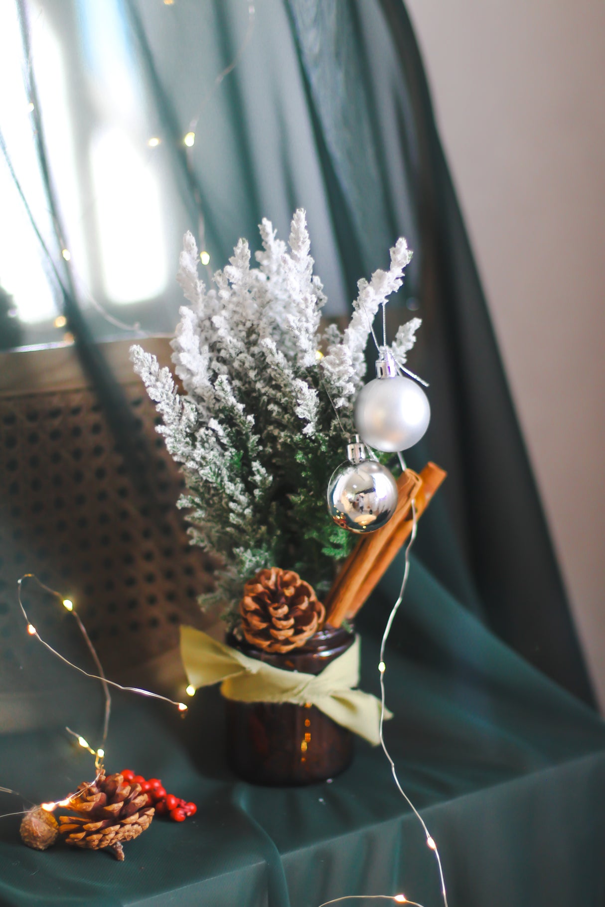 Winter Pine Ellwoodii Christmas Jar (Fresh)