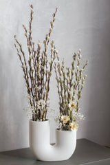 Lunar Simplicity (preserved flowers)