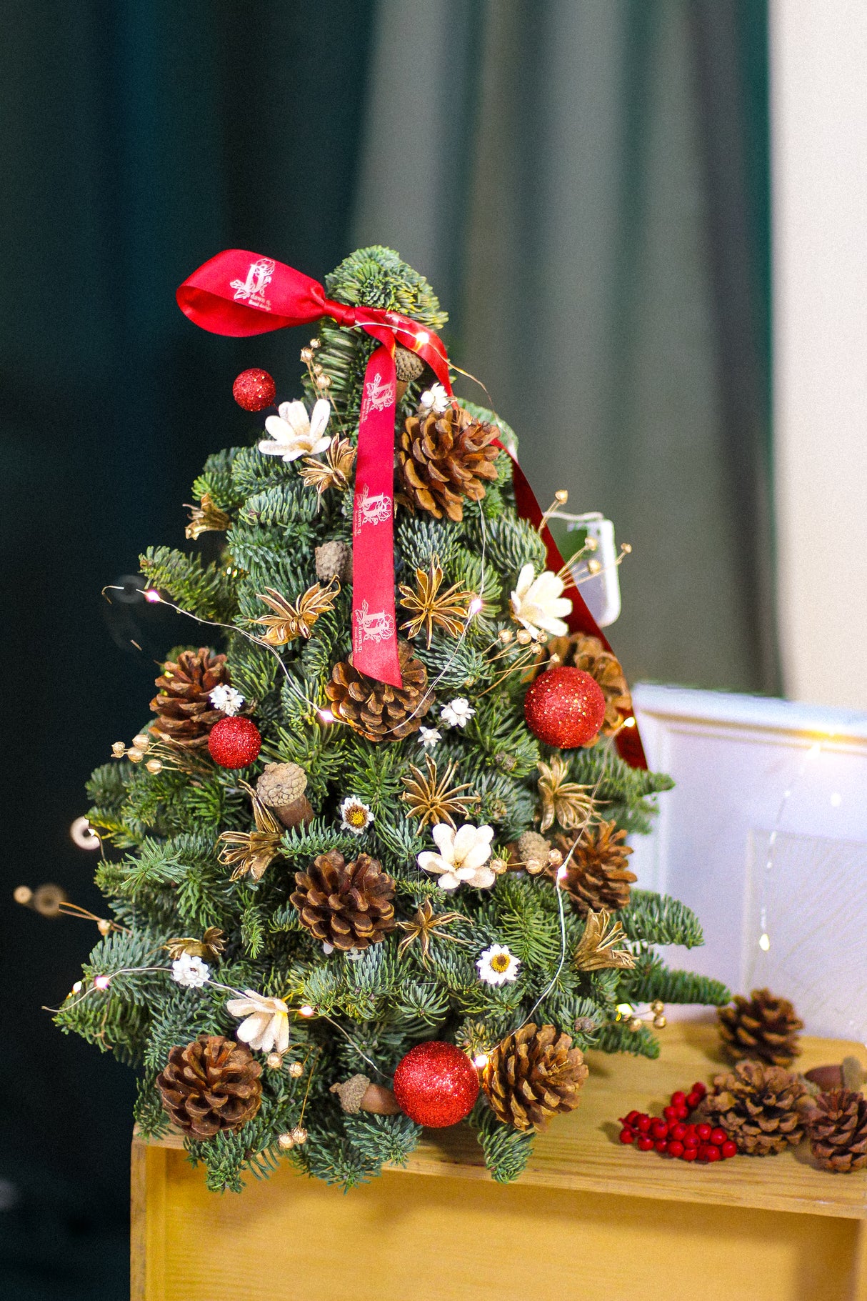 Fresh Christmas Tree