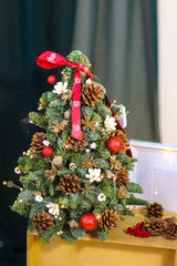 Fresh Christmas Tree