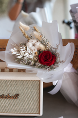 Everlasting Cotton Rose (Preserved)