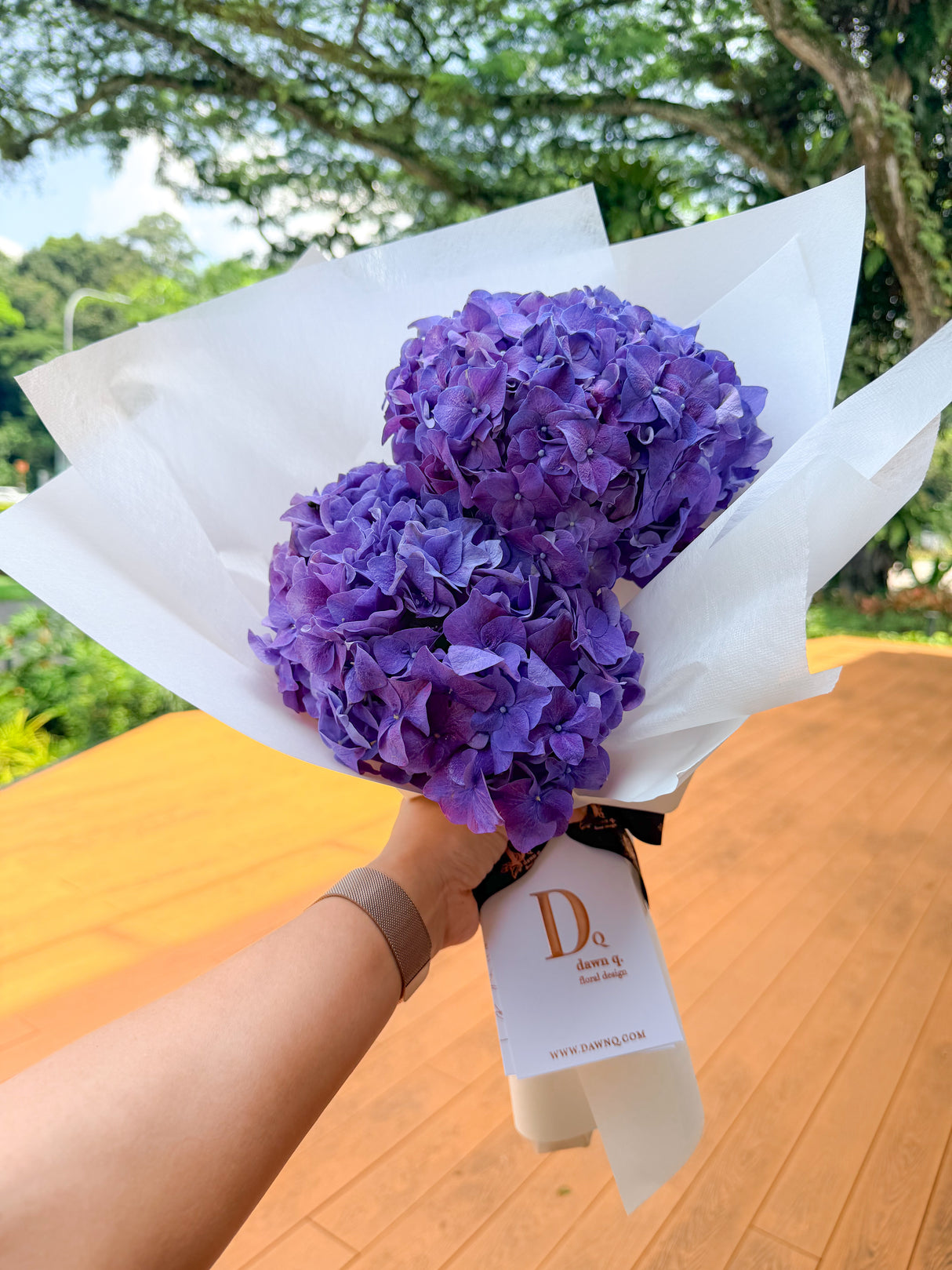 Hydrangea (Fresh)