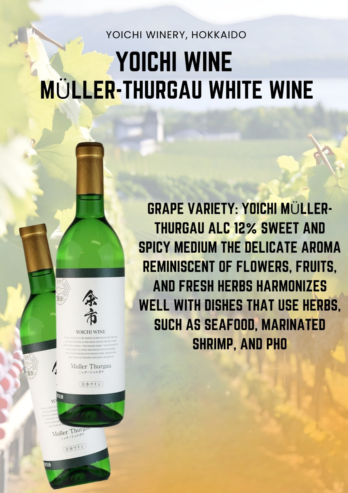 Yoichi Wine Muller Thurgau White Wine