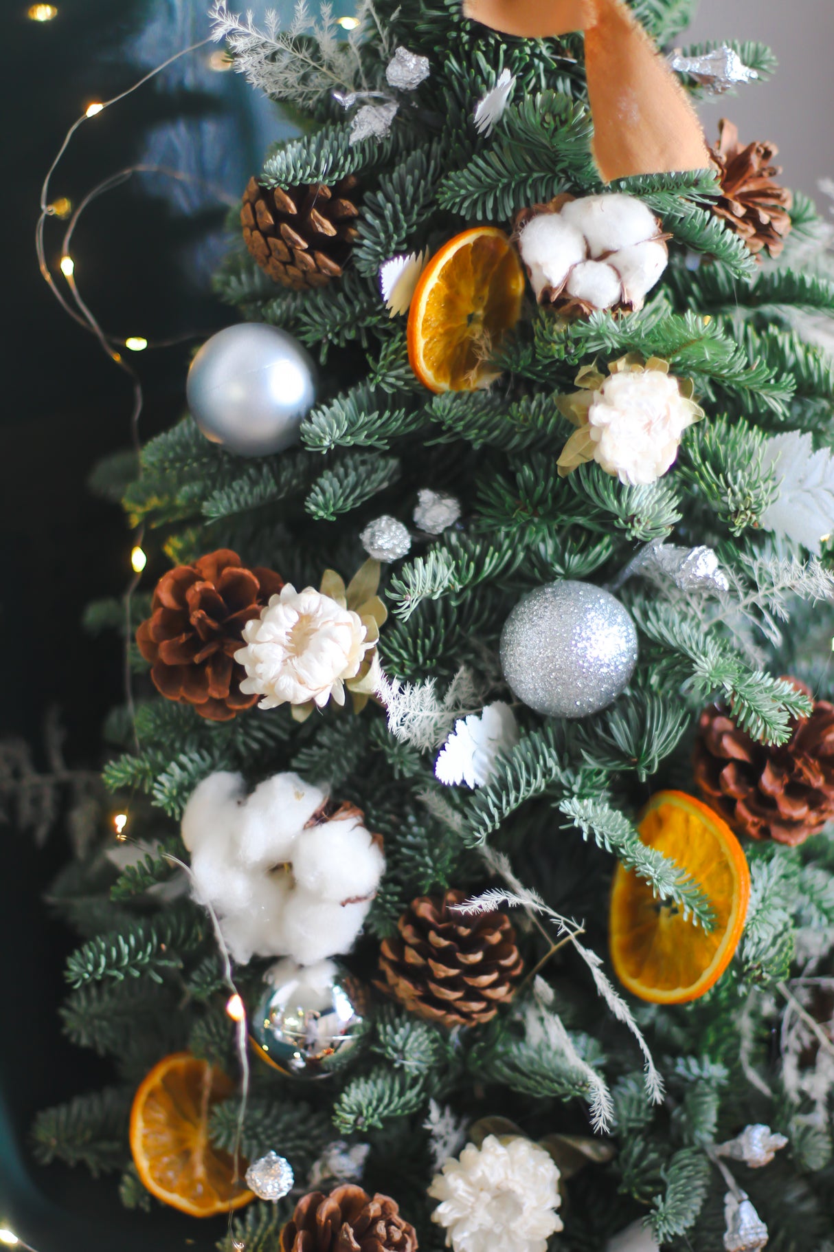 Winter Glow Christmas Tree (Fresh)