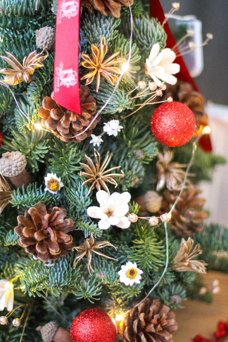 Fresh Christmas Tree