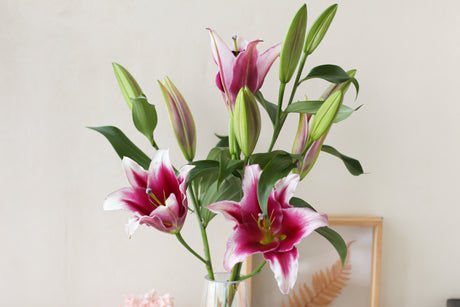 Lilies (Subscription x 3)
