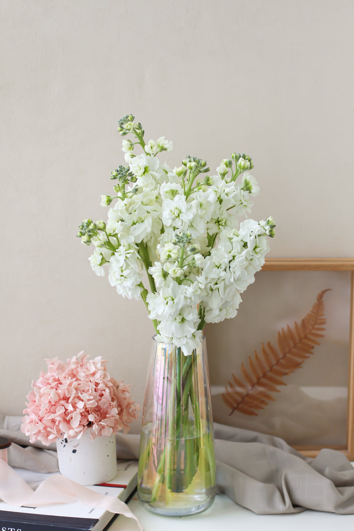 Matthiola (Fresh)