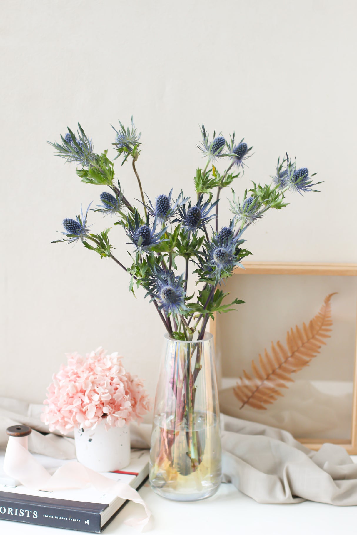 Blue Thistle (subscription x3)
