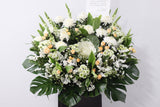 Condolences (Sympathy Stand)