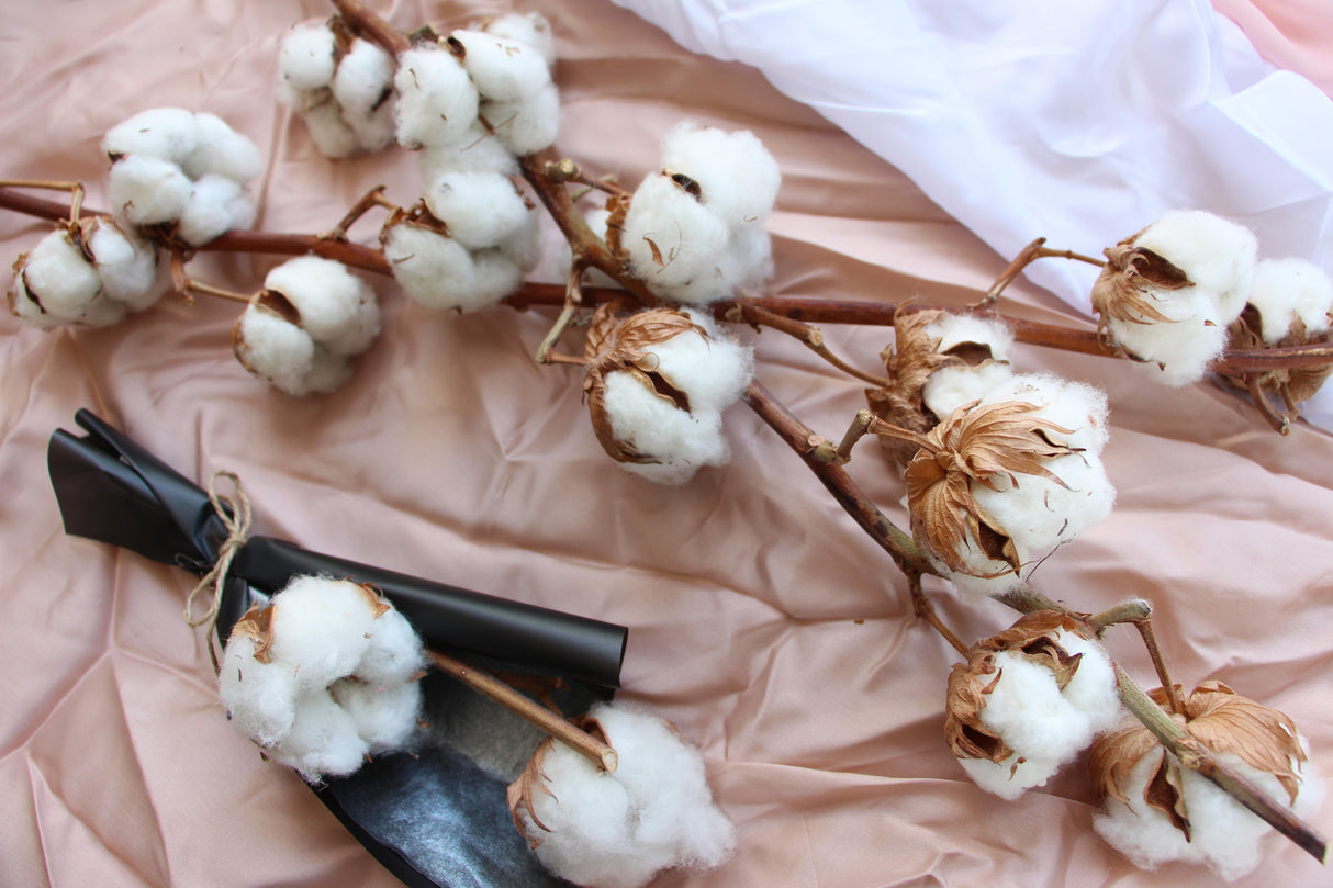 Cotton Flower