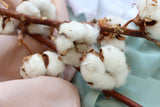 Cotton Flower