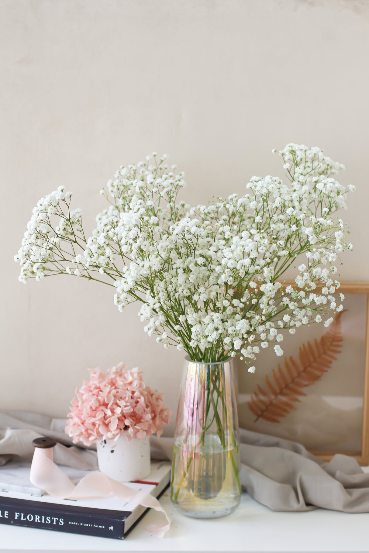 Baby's Breath (Subscription x 3)
