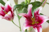 Lilies (Fresh Flowers)