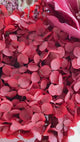 Abundance (preserved flowers)