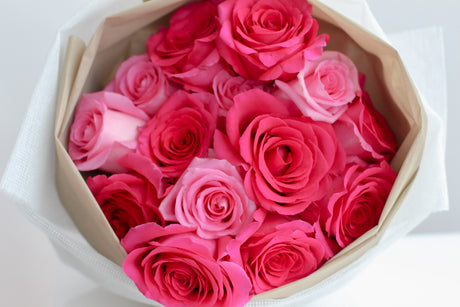 Pink party (Fresh)