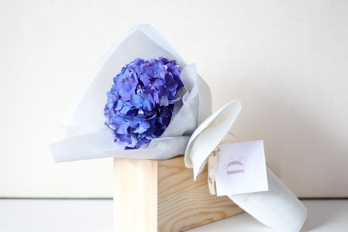 Hydrangea (Fresh)